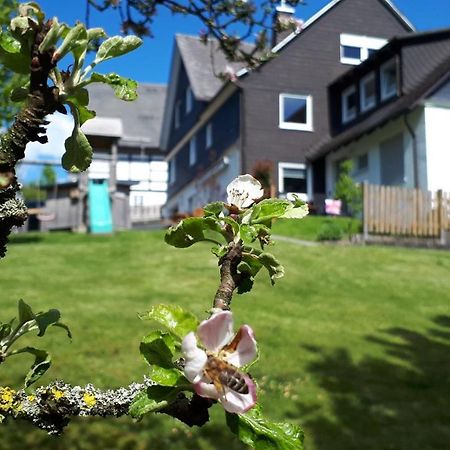 Ferienwohnung&Gästezimmer Schrichten Schmallenberg Exterior foto